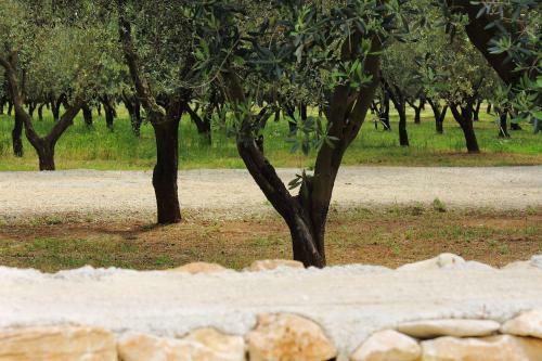 Agroturismo Terreamare
