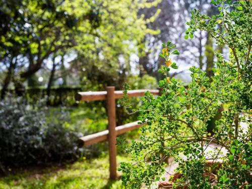 Agroturismo Agriturismo Alberese Sasso Rosso