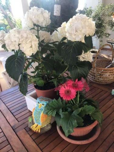 Agroturismo La Casina Di L�