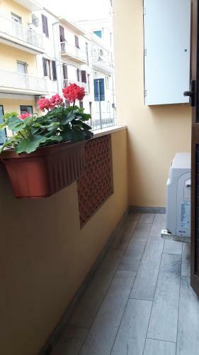 Little House