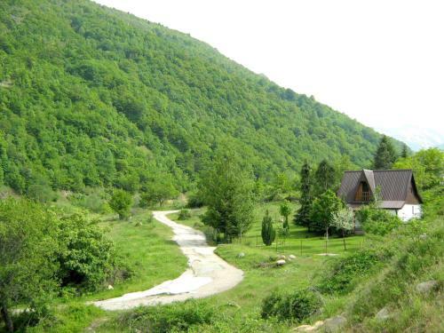 Villa Orka Pelister - Forest Zone