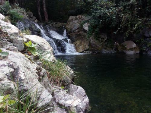 Villa Orka Pelister - Forest Zone