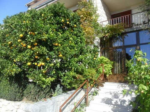 Hostal Guest House Mijo Sokol
