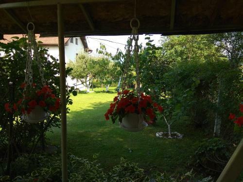 Hostal Konak Mali Raj