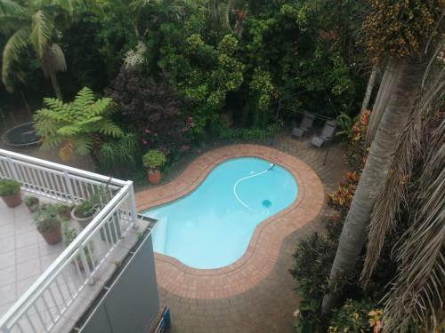 84 Leonora Drive