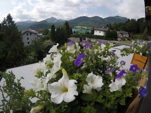 Hostal Seeblick Homes