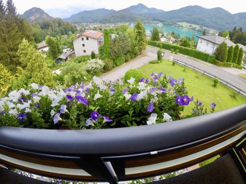 Hostal Seeblick Homes