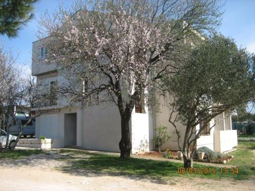 Apartamentos Crancina