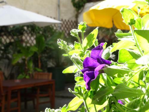 Bed & Breakfast G�stehaus Auf Der Kunstmeile