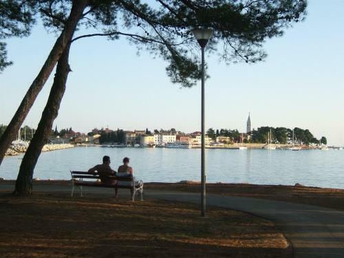 Apartamento Nela, 700 M From The Beach
