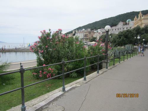 Apartman Paun