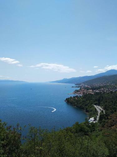 Apartman Paun