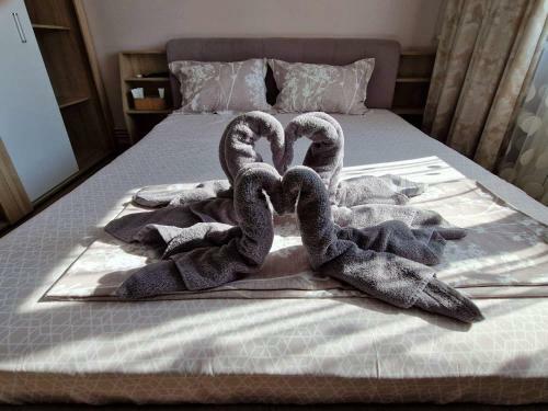 Apartament Madalina Motoianu