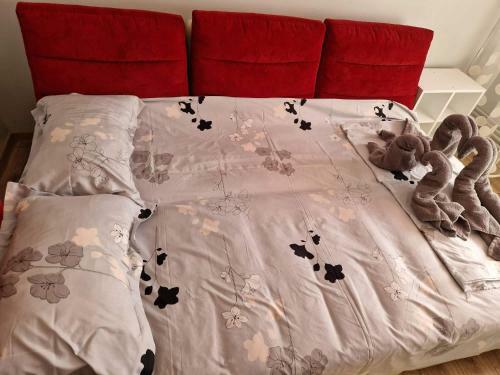 Apartament Madalina Motoianu