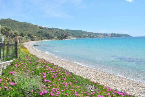 Sea Esta Holiday Home