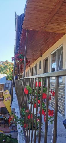 Hostal Casa La Meduza