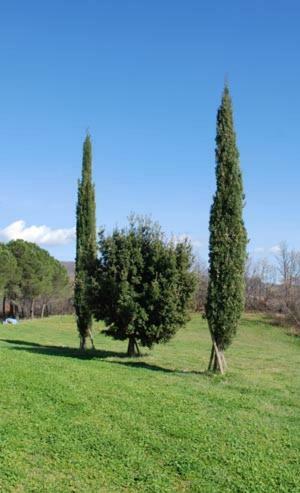 Agroturismo Agriturismo Montecchio