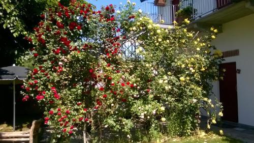 Hotel Albergo Antica Dogana