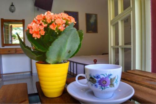 Apartamento Camelia Studios