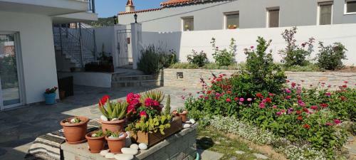 Meraki Skopelos