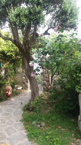 Apartamento La Casetta A Punta Imperatore