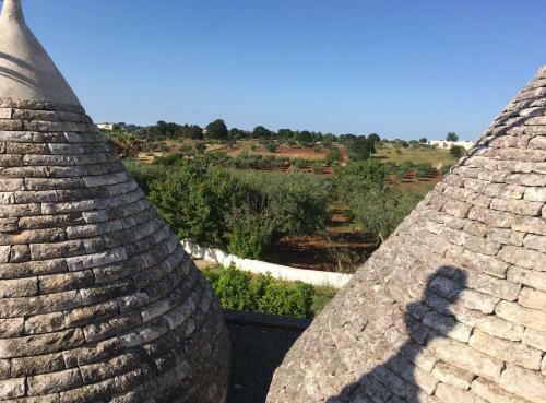 Trullo Olive Tree