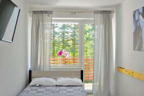 Bed & Breakfast B?ekitne Tarasy