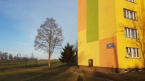 Apartament Aviator