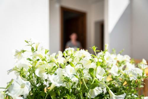 Hostal Dimora Mariuccia - Affitti Brevi Italia