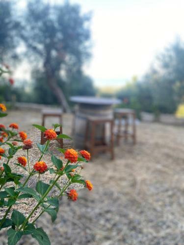 Hostal Dimora Mariuccia - Affitti Brevi Italia