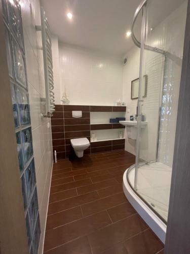 Apartamento Pokoje Go?cinne Asia