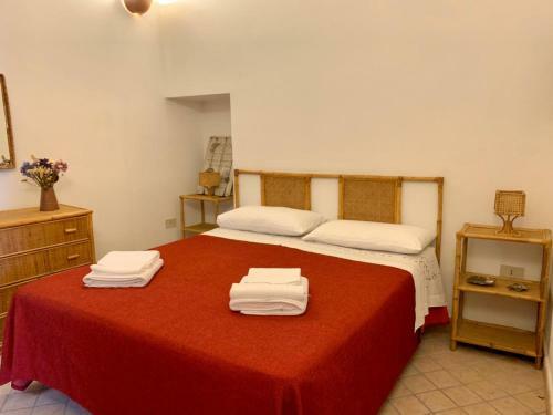 Casa Tamy