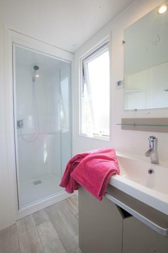 Camping Resort La Baume La Palmeraie