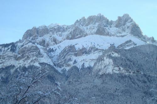Chalet Choseaux