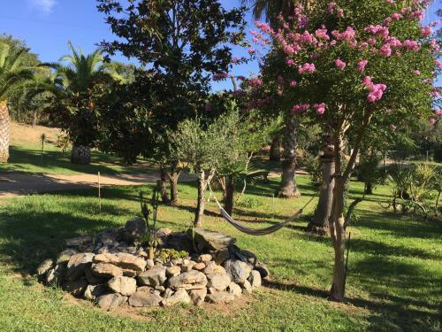 Apartamento Studio 1.5 Km Mer Et 2 Km Cascade