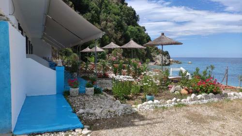 Hotel Sea & Sun