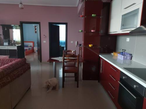 Apartamento Villa Luiza