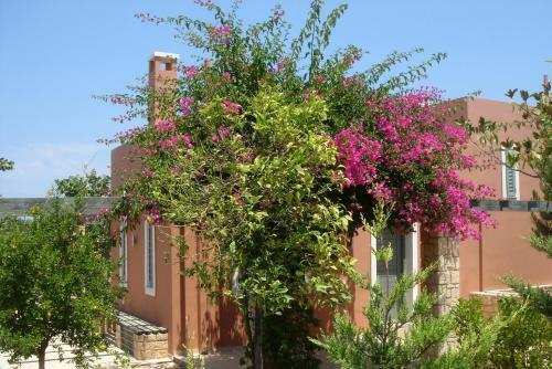 Estia Villas Aegina