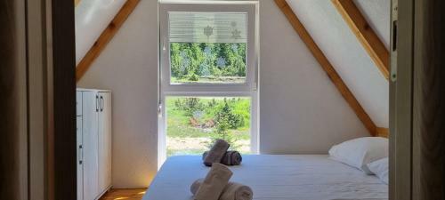 Apartamento Guest House Tamara