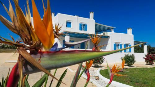 Apartamento Villalula Suites
