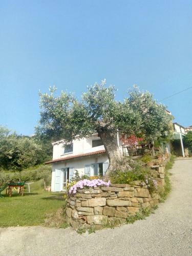 Impietra