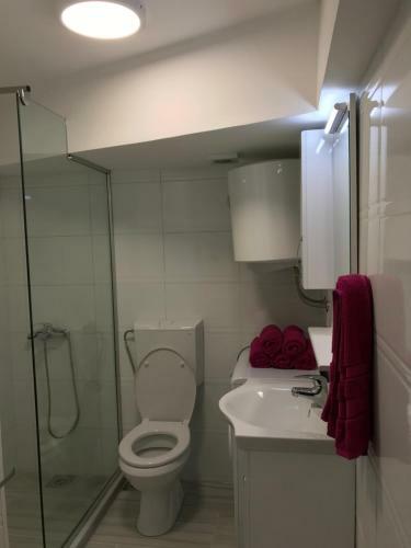 Aparthotel Apartmani Sara S&s