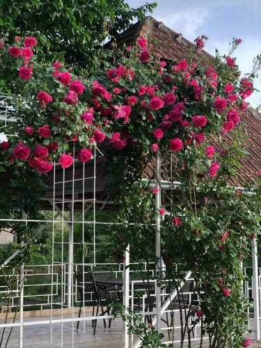 Apartamento Villa Elita - Bela Crkva