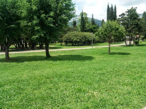 Apartment Antena - Budva Montenegro