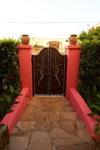 B&B Nilosira
