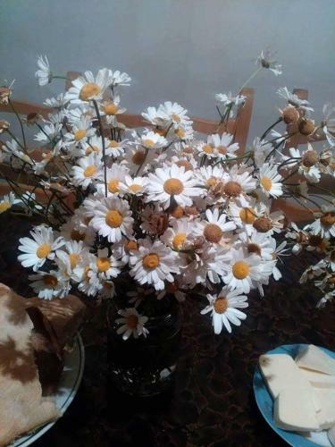 Hostal Erasti Guesthouse