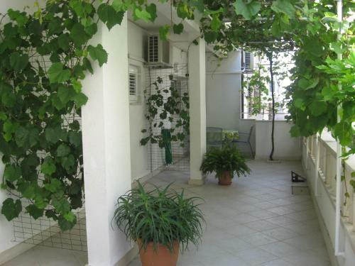 Apartamento Dariana