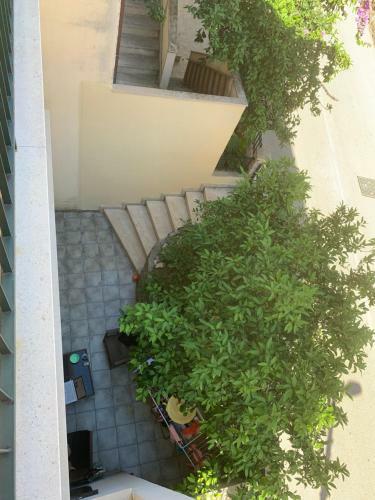 Apartment Summer
