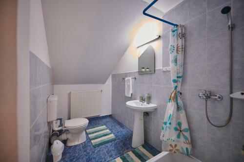 Hostal Vila ?ara Ha?egului