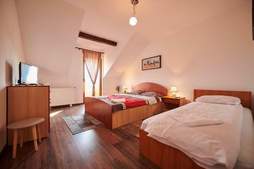 Hostal Vila ?ara Ha?egului